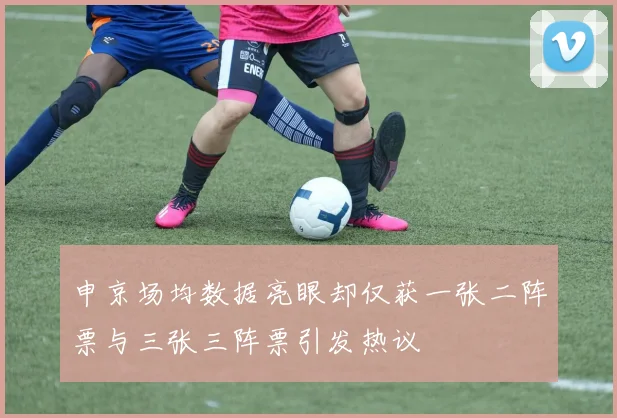 申京场均数据亮眼却仅获一张二阵票与三张三阵票引发热议
