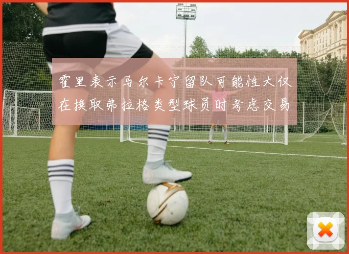 霍里表示马尔卡宁留队可能性大仅在换取弗拉格类型球员时考虑交易