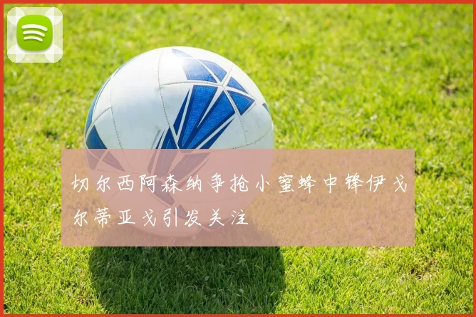切尔西阿森纳争抢小蜜蜂中锋伊戈尔蒂亚戈引发关注