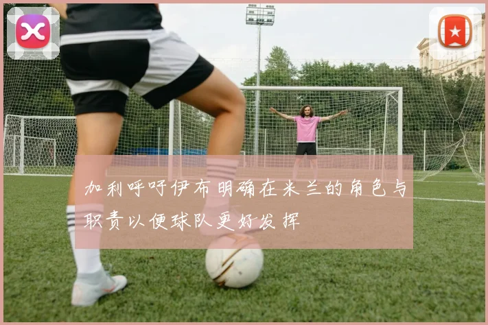 加利呼吁伊布明确在米兰的角色与职责以便球队更好发挥